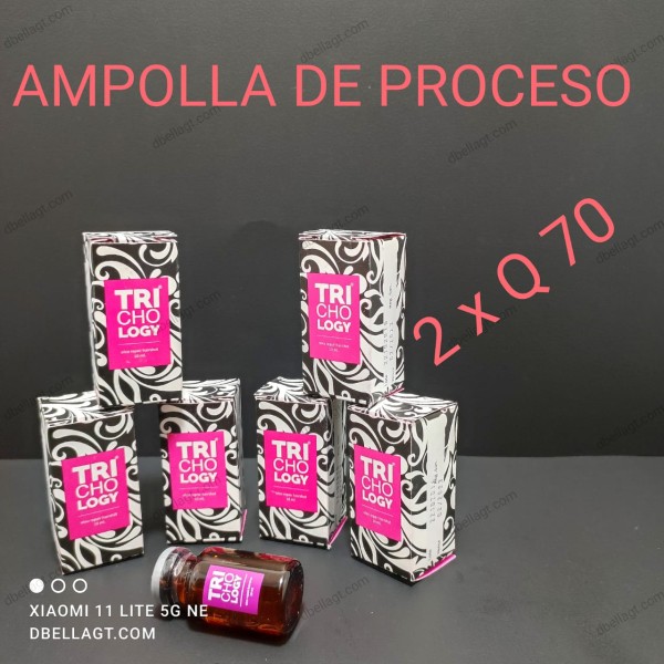 AMPOLLA DE PROCESO PAPILLON